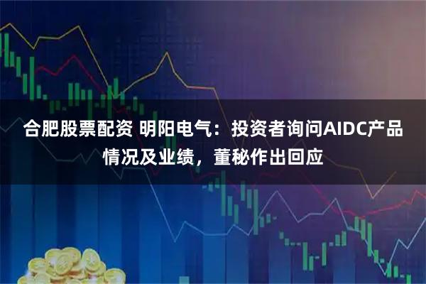 合肥股票配资 明阳电气：投资者询问AIDC产品情况及业绩，董秘作出回应