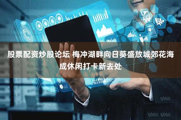 股票配资炒股论坛 梅冲湖畔向日葵盛放城郊花海成休闲打卡新去处